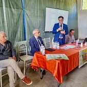 Piante officinali, Cicala: «Una nuova leva di sviluppo per la Basilicata» Piante officinali, Cicala: «Una nuova leva di sviluppo per la Basilicata»