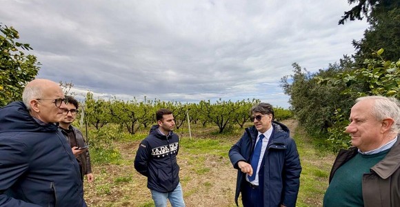 Maltempo in Basilicata, approvata la delibera per gli eventi eccezionali: 41 comuni colpiti Maltempo in Basilicata, approvata la delibera per gli eventi eccezionali: 41 comuni colpiti