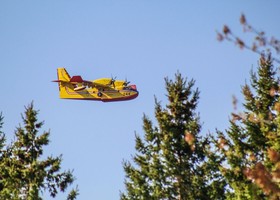 Incendi, 198 roghi in Sicilia nel fine settimana Incendi, 198 roghi in Sicilia nel fine settimana