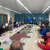 Basilicata in campo per Stellantis e indotto, un “quadro temporaneo di aiuti” al vaglio del governo