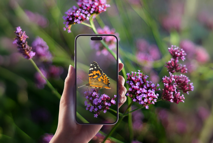 City Nature Challenge 2026, Torino sfida il mondo a colpi di biodiversità urbana City Nature Challenge 2026, Torino sfida il mondo a colpi di biodiversità urbana