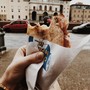 Street food, in dieci anni conquista l'Italia: 4.500 imprese in 2mila Comuni