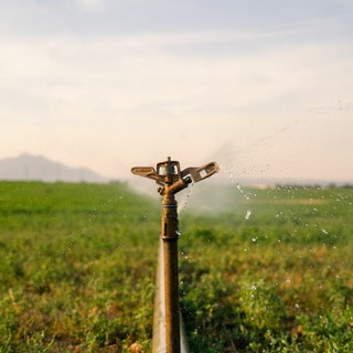 Confagricoltura - Acquacoltura: il caldo colpisce le produzioni. API chiede interventi per superare l'emergenza