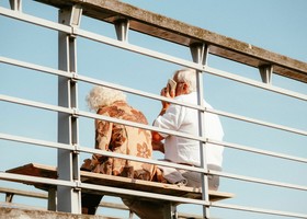 Pensioni e potere d’acquisto, in Fvg cresce la pressione sui redditi più bassi Pensioni e potere d’acquisto, in Fvg cresce la pressione sui redditi più bassi