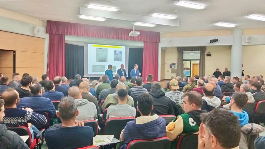 Filiera lucana del cinghiale, 6mila capi in 9 mesi. Cicala: "Dall'emergenza un'opportunità di sviluppo"