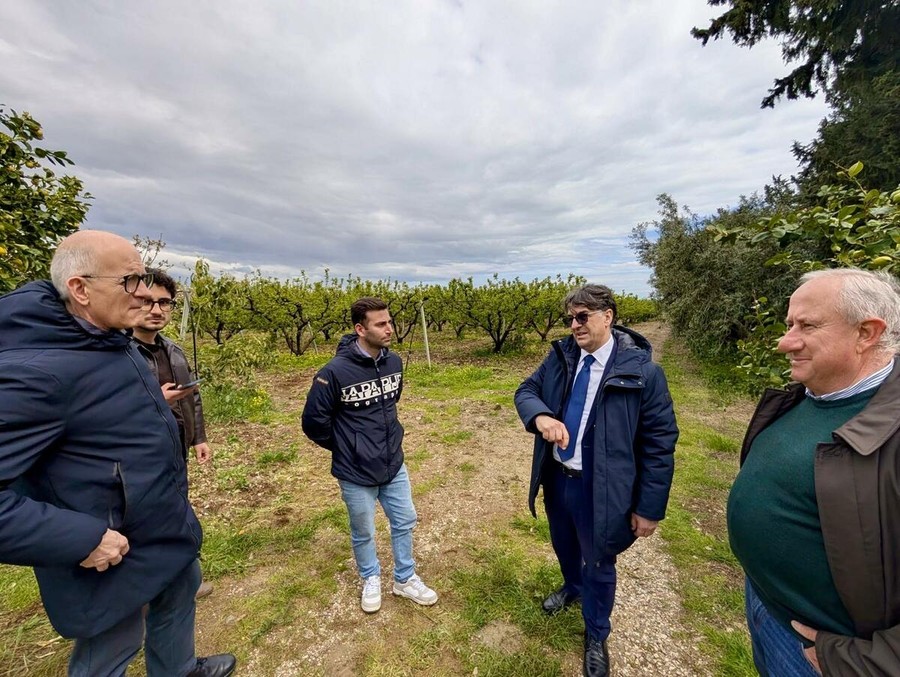 Maltempo in Basilicata, approvata la delibera per gli eventi eccezionali: 41 comuni colpiti Maltempo in Basilicata, approvata la delibera per gli eventi eccezionali: 41 comuni colpiti