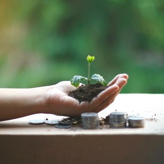 La sostenibilità come nuovo standard del merito creditizio