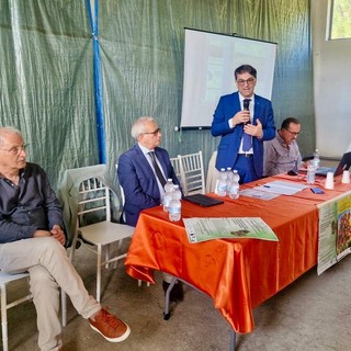 Piante officinali, Cicala: «Una nuova leva di sviluppo per la Basilicata»