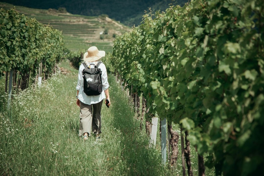 Turismo enogastronomico, nasce il libro bianco sulle professioni