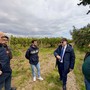 Maltempo in Basilicata, approvata la delibera per gli eventi eccezionali: 41 comuni colpiti