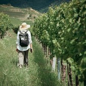 Turismo enogastronomico, nasce il libro bianco sulle professioni