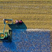 Contratti di sviluppo, riaperto lo sportello per l’agroalimentare