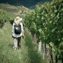 Turismo enogastronomico, nasce il libro bianco sulle professioni