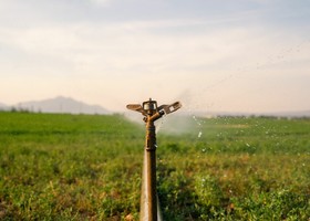 Confagricoltura - Acquacoltura: il caldo colpisce le produzioni. API chiede interventi per superare l'emergenza Confagricoltura - Acquacoltura: il caldo colpisce le produzioni. API chiede interventi per superare l'emergenza