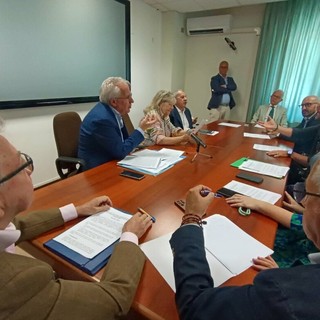 Caldo e lavoro sicuro: la Regione incontra i sindacati. Albano: «Rinnoveremo il protocollo sullo stress termico» Caldo e lavoro sicuro: la Regione incontra i sindacati. Albano: «Rinnoveremo il protocollo sullo stress termico»