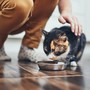 Pet food, un mercato da 200 miliardi ma i proprietari sono confusi: ecco i 10 trend del futuro Pet food, un mercato da 200 miliardi ma i proprietari sono confusi: ecco i 10 trend del futuro