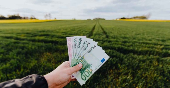 Regione Lombardia - Agricoltura, fino a 50 milioni di euro da Finlombarda e sistema bancario per le imprese del settore primario regionale Regione Lombardia - Agricoltura, fino a 50 milioni di euro da Finlombarda e sistema bancario per le imprese del settore primario regionale
