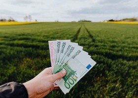 Regione Lombardia - Agricoltura, fino a 50 milioni di euro da Finlombarda e sistema bancario per le imprese del settore primario regionale