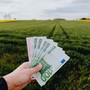 Regione Lombardia - Agricoltura, fino a 50 milioni di euro da Finlombarda e sistema bancario per le imprese del settore primario regionale Regione Lombardia - Agricoltura, fino a 50 milioni di euro da Finlombarda e sistema bancario per le imprese del settore primario regionale
