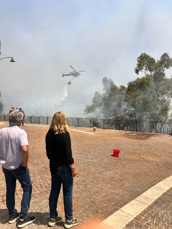 La Sicilia brucia, l’assessore Savarino sui luoghi dei roghi: «Ogni ettaro distrutto è una ferita per l’isola» La Sicilia brucia, l’assessore Savarino sui luoghi dei roghi: «Ogni ettaro distrutto è una ferita per l’isola»