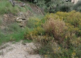 Sinagra, al via i lavori contro il dissesto: 590 mila euro per mettere in sicurezza il centro abitato Sinagra, al via i lavori contro il dissesto: 590 mila euro per mettere in sicurezza il centro abitato