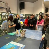 Carestia dilaga in Sudan, ora è il Paese con più aree alla fame nel mondo