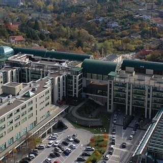 Menù green nelle mense universitarie: l’Ardsu aderisce alla Green Food Week 2026