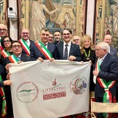 Il Vulture si prepara a brindare. Sarà "Città Italiana del Vino" dal 1° maggio Il Vulture si prepara a brindare. Sarà "Città Italiana del Vino" dal 1° maggio