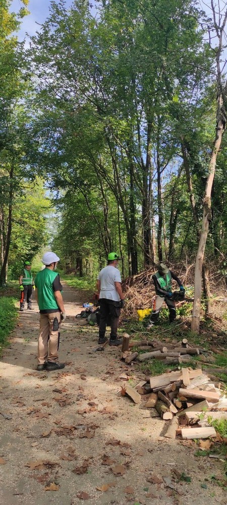 Cercasi "Angeli" per Villa Arconati: la Fondazione Rancilio lancia l'appello per nuovi volontari