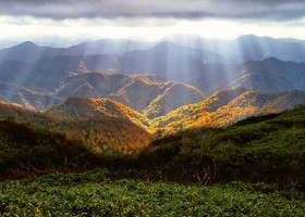 Agricoltura lucana, Cicala traccia la rotta per il 2026: "Da oggi la programmazione diventa sviluppo concreto"
