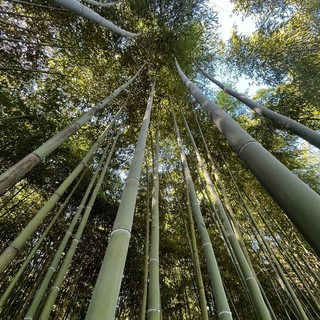 Enercom alimenta Acque Bresciane: 80 GWh all’anno per il servizio idrico della provincia