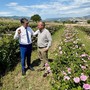 Basilicata, al via il bando per i vivai forestali: Cicala investe sulla qualità per il futuro dei boschi Basilicata, al via il bando per i vivai forestali: Cicala investe sulla qualità per il futuro dei boschi