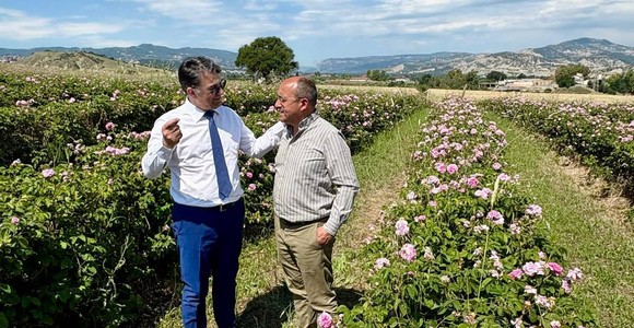 Basilicata, al via il bando per i vivai forestali: Cicala investe sulla qualità per il futuro dei boschi