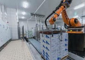 Stesi, la software house che cresce senza debiti. Il modello "capital-light" della supply chain digitale