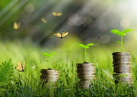 Quali sono i vantaggi per le aziende di adottare gli European Sustainability Reporting Standards (ESRS)