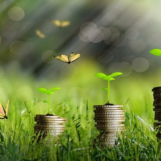 Quali sono i vantaggi per le aziende di adottare gli European Sustainability Reporting Standards (ESRS)