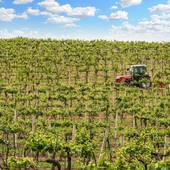 Confagricoltura: bene il piano triennale, ora semplificare le procedure per la manodopera estera