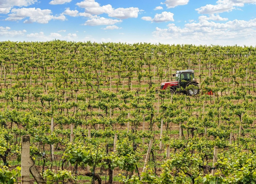 Confagricoltura: bene il piano triennale, ora semplificare le procedure per la manodopera estera