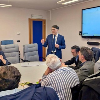 Forestazione, Cicala apre il confronto con i sindacati: «Dialogo e risultati concreti per il comparto lucano»