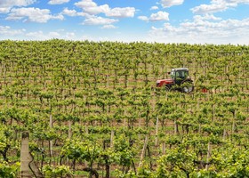 Confagricoltura: bene il piano triennale, ora semplificare le procedure per la manodopera estera