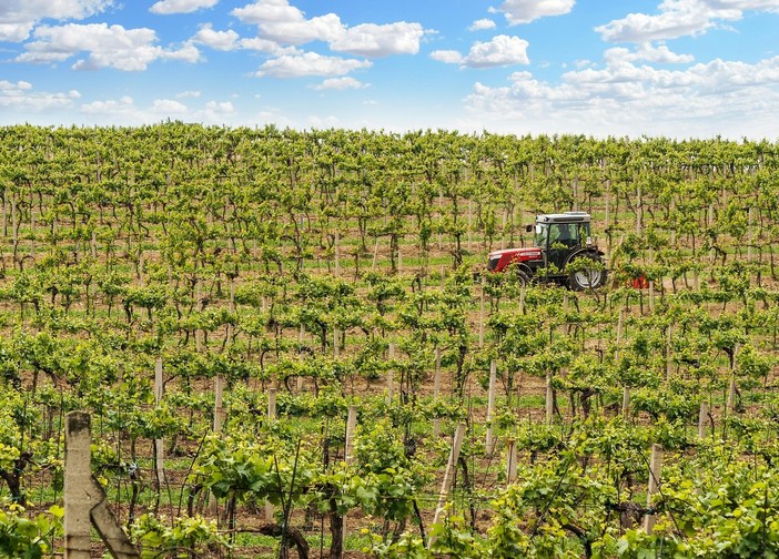 Confagricoltura: bene il piano triennale, ora semplificare le procedure per la manodopera estera