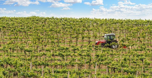 Confagricoltura: bene il piano triennale, ora semplificare le procedure per la manodopera estera