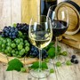 Bando OCM Vino 2025/2026: plauso al rinnovato impegno del ministero dell'Agricoltura