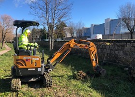 Riqualificazione fluviale lungo il Basento. Messe a dimora 120 nuove piante come compensazione ambientale