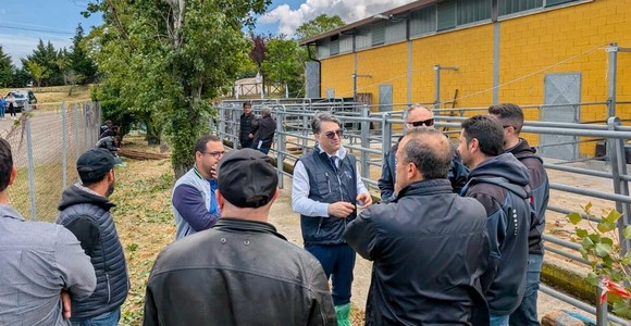 Zootecnia lucana, 5,6 milioni dal governo regionale per l'assistenza tecnica e la prevenzione delle epizoozie