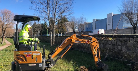 Riqualificazione fluviale lungo il Basento. Messe a dimora 120 nuove piante come compensazione ambientale