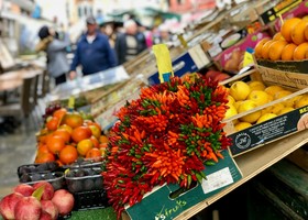 “Agroalimentare Made in Italy. Competenze, salute, mercati”. Lunedì 20 aprile il 1° Forum Agronetwork