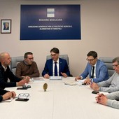 Basilicata, al via la campagna di forestazione 2026: 2.150 lavoratori nei boschi. Cicala: «Non è solo occupazione, è sicurezza del territorio»