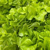 Confagricoltura - Insalate pronte al consumo: Quarta gamma in difficoltà per clima avverso e rincari dei costi di produzione