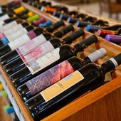 Vino italiano negli Stati Uniti, export in calo del 14%: fatturare in euro non basta a proteggersi dal cambio Vino italiano negli Stati Uniti, export in calo del 14%: fatturare in euro non basta a proteggersi dal cambio